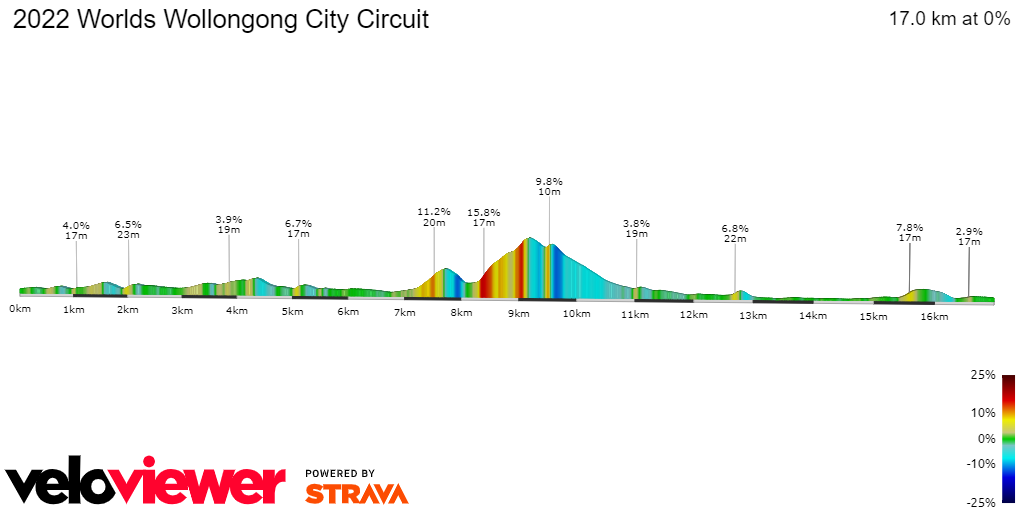 2D Elevation profile image for 2022 Worlds Wollongong City Circuit 