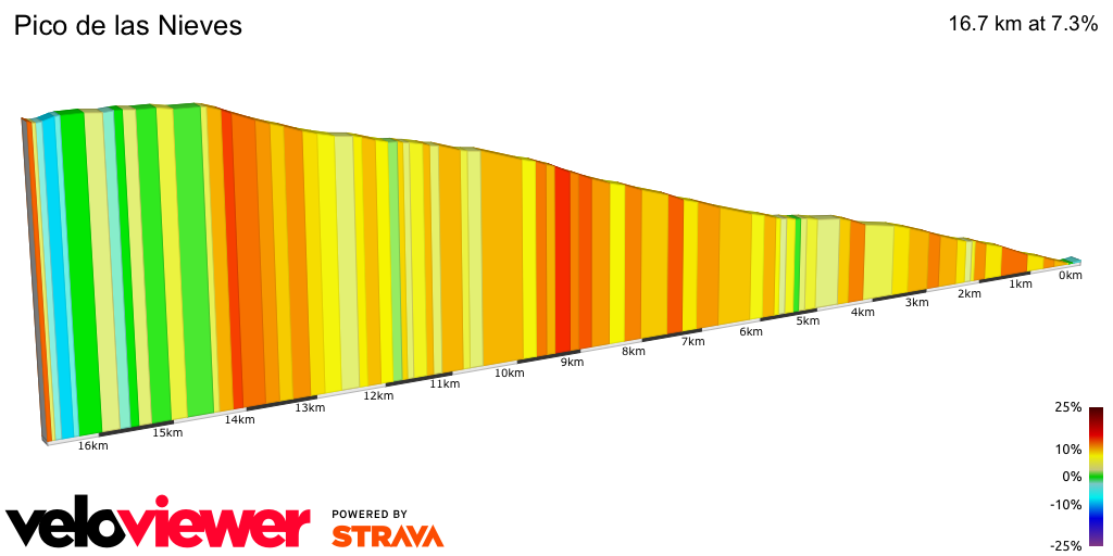 2D Elevation profile image for Pico de las Nieves