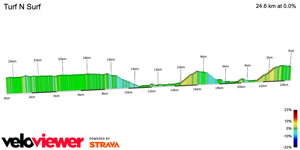 2D Elevation profile image for Turf N Surf