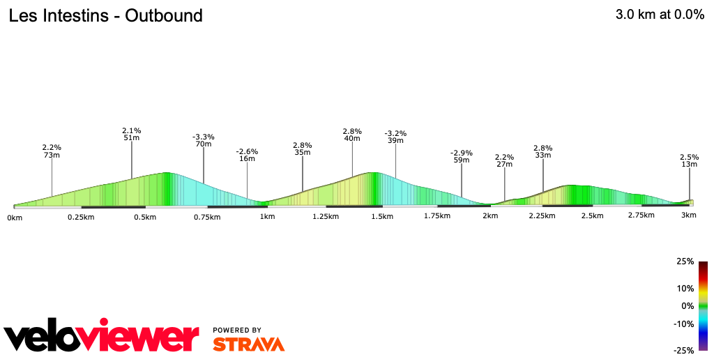 2D Elevation profile image for Les Intestins - Outbound