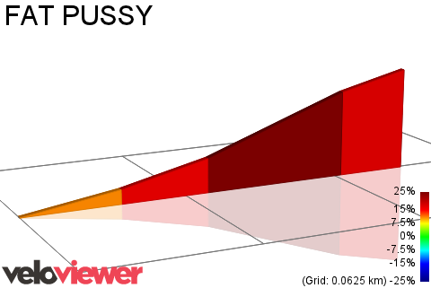2D Elevation profile image for FAT PUSSY