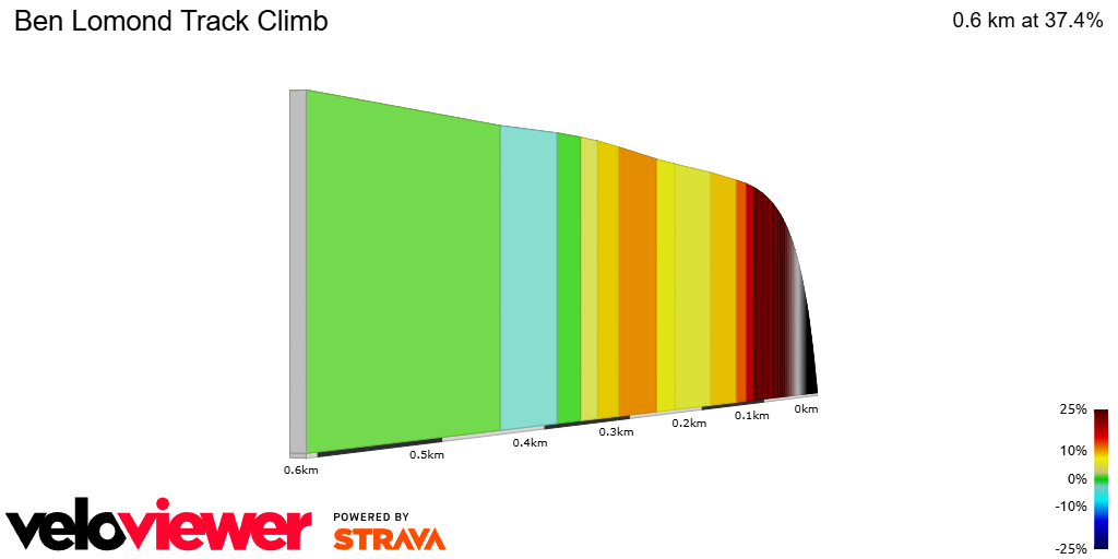 2D Elevation profile image for Ben Lomond Track Climb