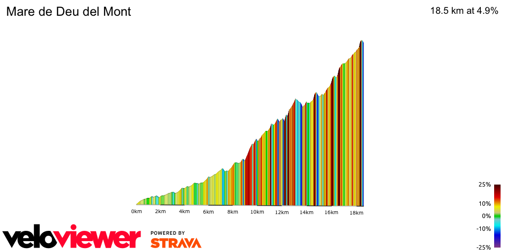 2D Elevation profile image for Mare de Deu del Mont