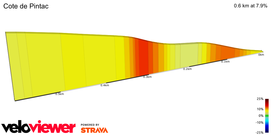 2D Elevation profile image for Cote de Pintac