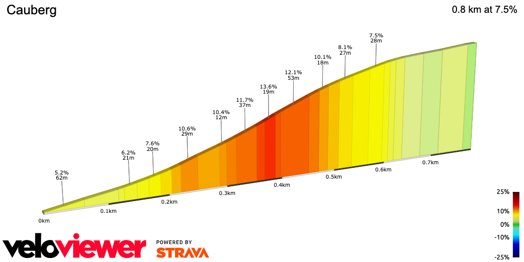 2D Elevation profile image for Cauberg