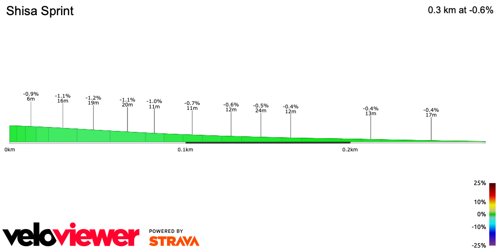 2D Elevation profile image for Shisa Sprint