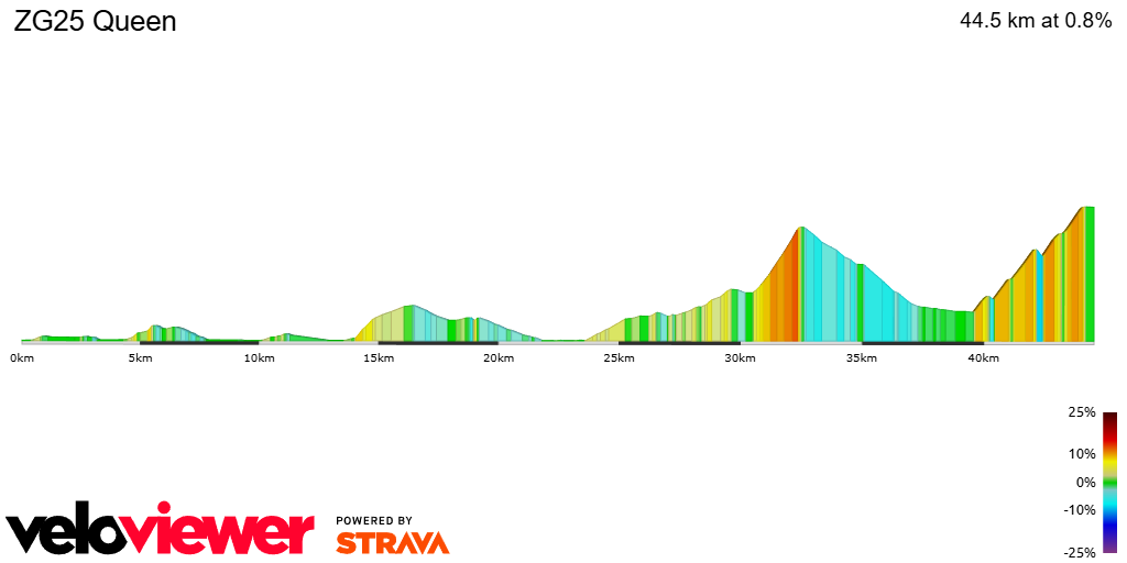 2D Elevation profile image for ZG25 Queen