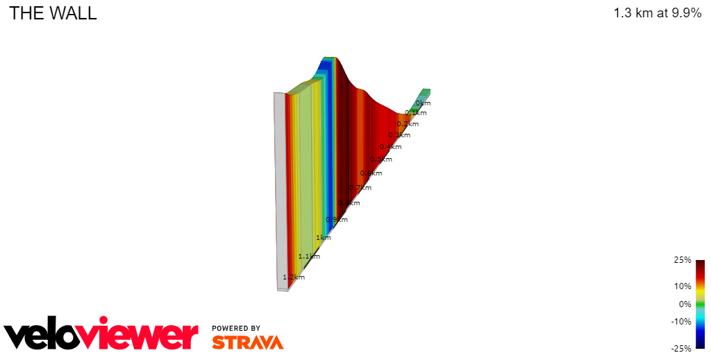 2D Elevation profile image for THE WALL