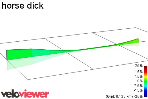 2D Elevation profile image for horse dick