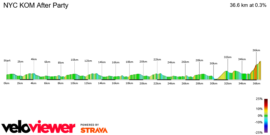 2D Elevation profile image for NYC KOM After Party