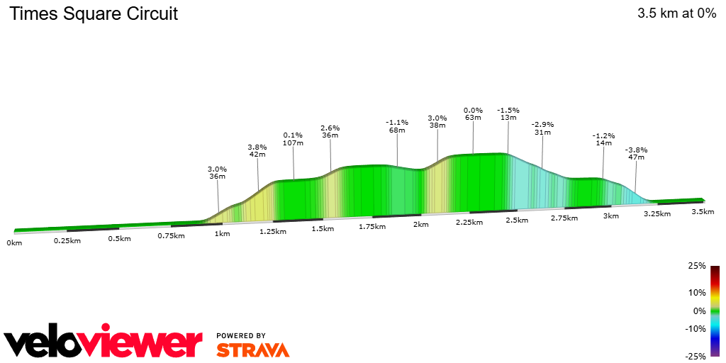 2D Elevation profile image for Times Square Circuit