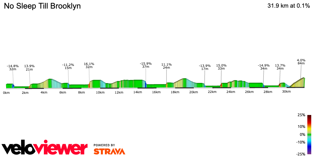2D Elevation profile image for No Sleep Till Brooklyn