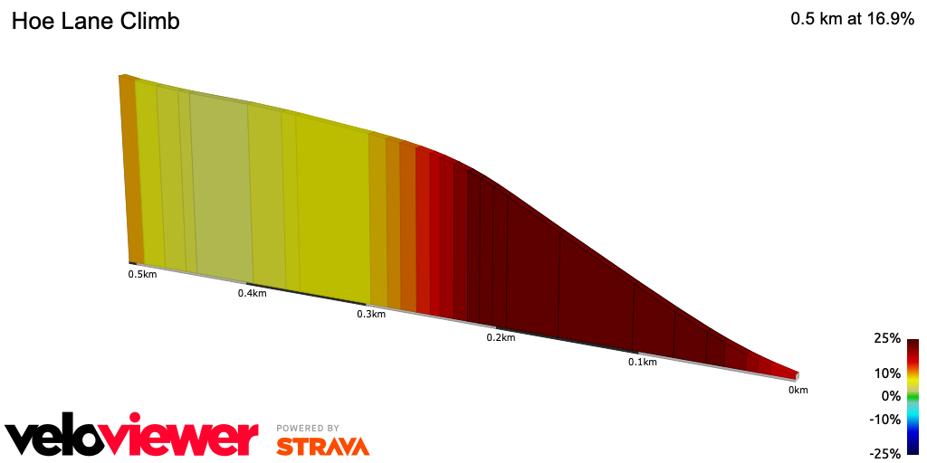 2D Elevation profile image for Hoe Lane Climb