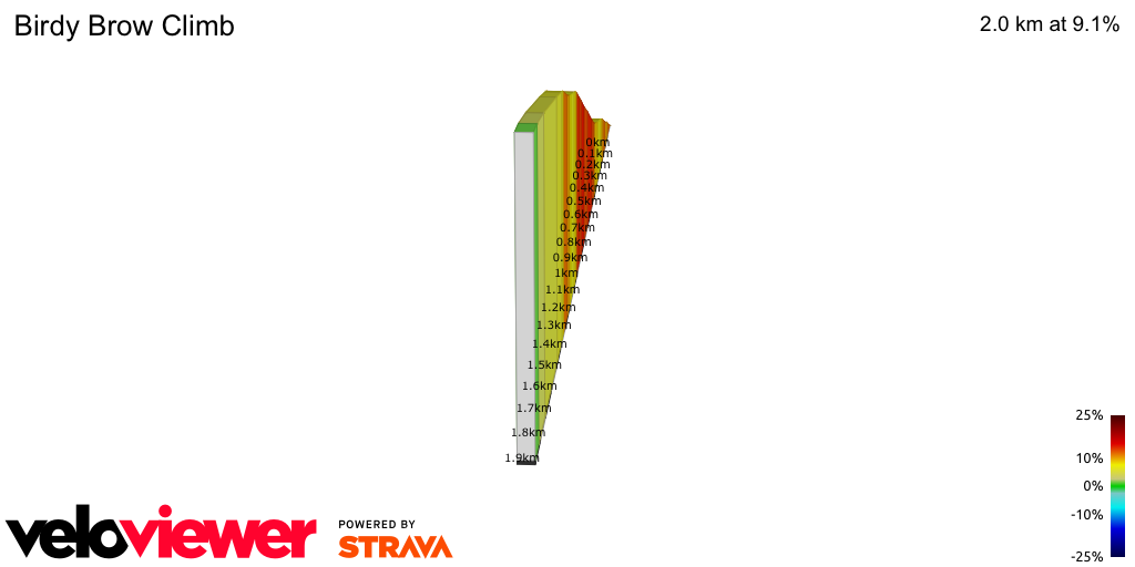 2D Elevation profile image for Birdy Brow Climb
