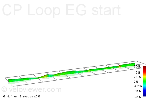 2D Elevation profile image for CP Loop EG start