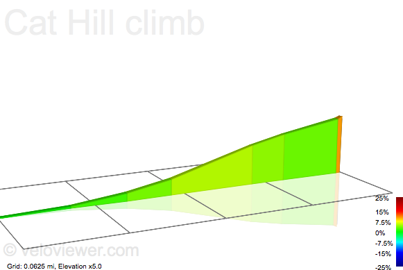 2D Elevation profile image for Cat Hill climb