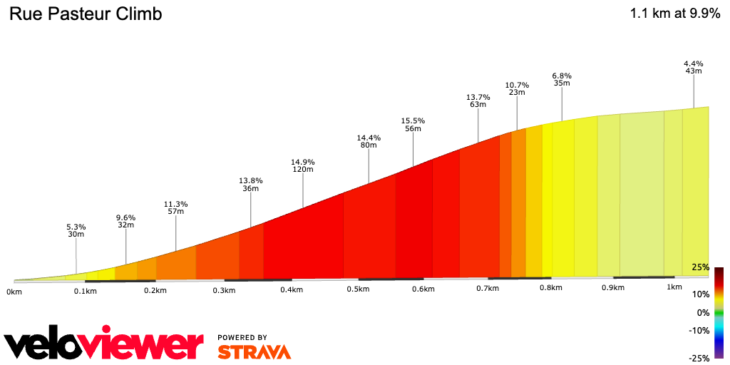 2D Elevation profile image for Rue Pasteur Climb