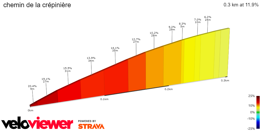 2D Elevation profile image for chemin de la crépinière