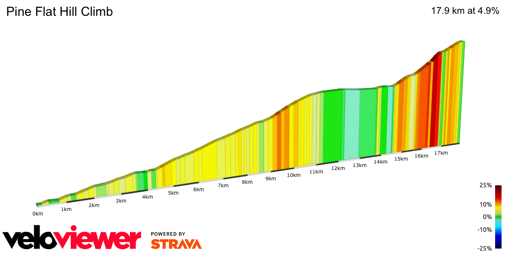 2D Elevation profile image for Pine Flat Hill Climb