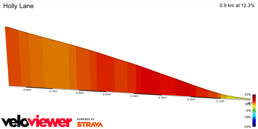 2D Elevation profile image for Holly Lane