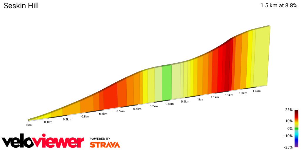 2D Elevation profile image for Seskin Hill