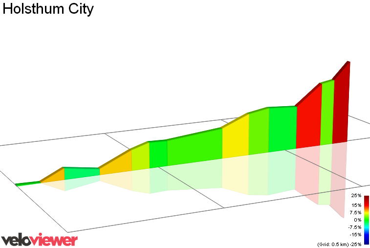 2D Elevation profile image for Holsthum City