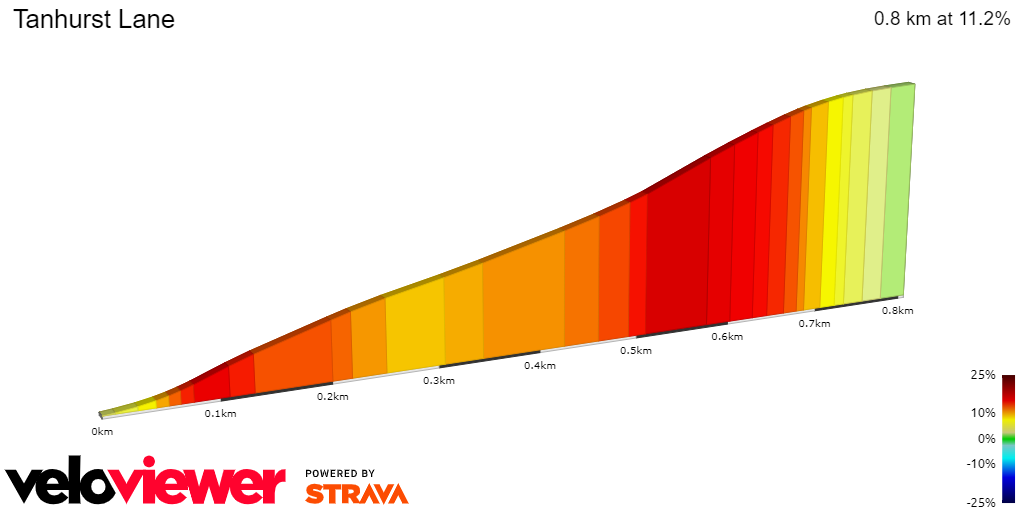 2D Elevation profile image for Tanhurst Lane