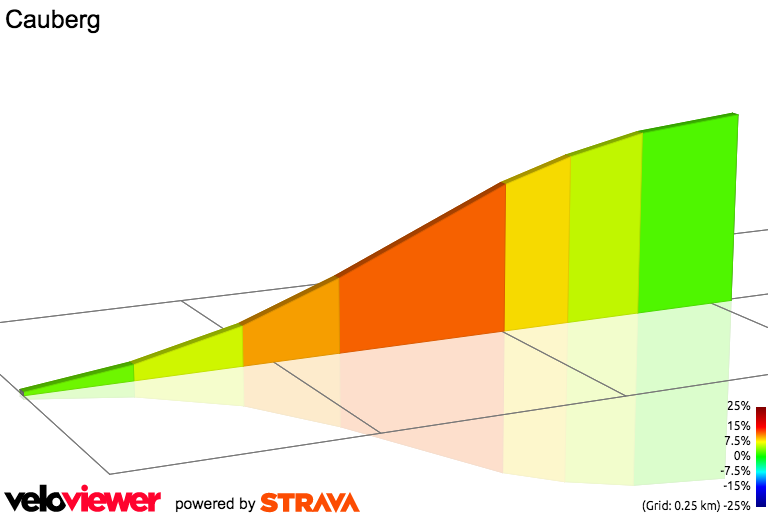 2D Elevation profile image for Cauberg