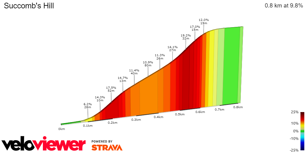 2D Elevation profile image for Succomb's Hill