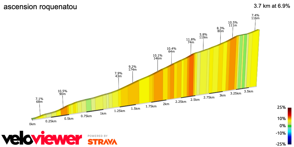 2D Elevation profile image for ascension roquenatou