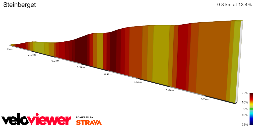 2D Elevation profile image for Steinberget