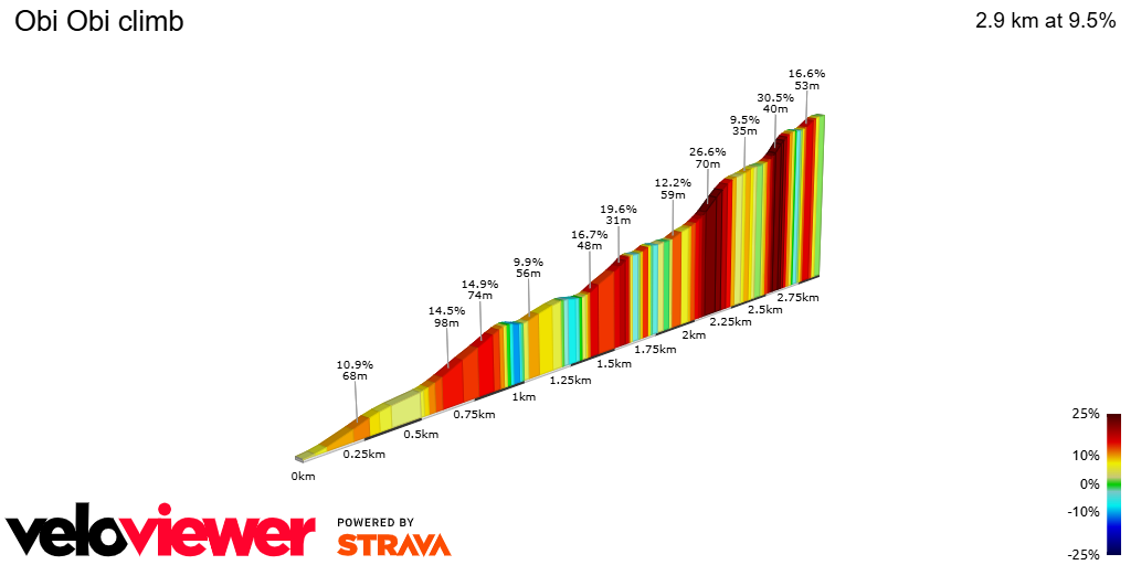 2D Elevation profile image for Obi Obi climb
