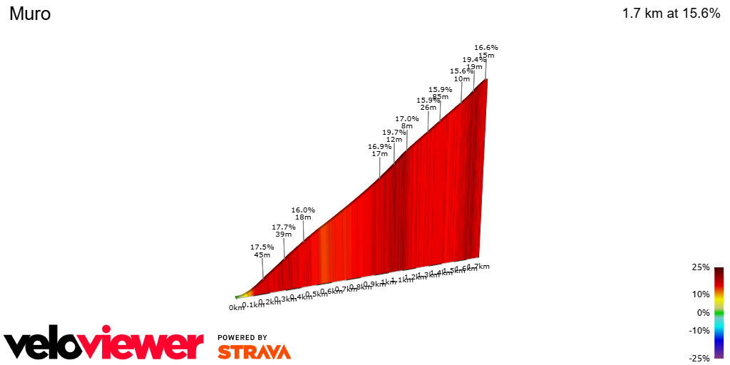 2D Elevation profile image for Muro