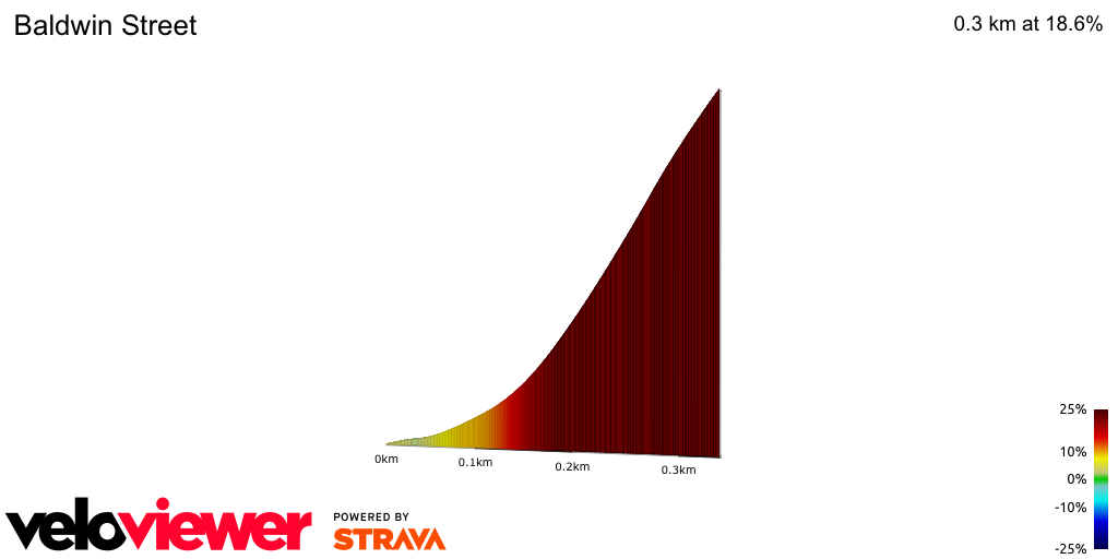 2D Elevation profile image for Baldwin Street