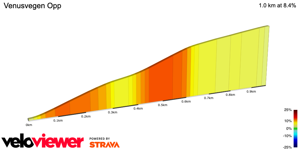 2D Elevation profile image for Venusvegen Opp