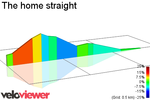 2D Elevation profile image for The home straight 