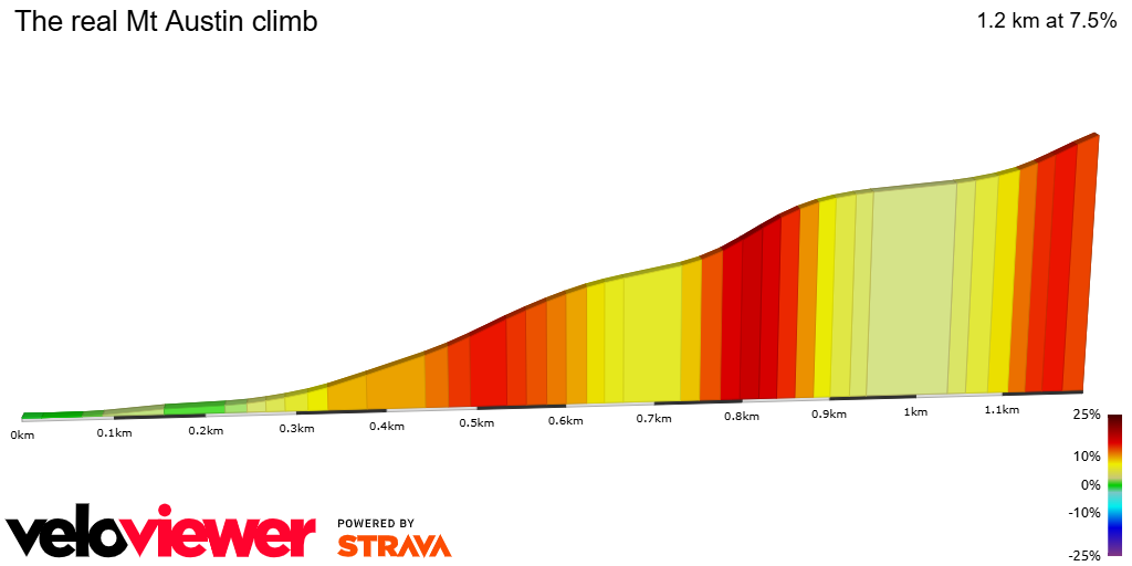 2D Elevation profile image for The real Mt Austin climb