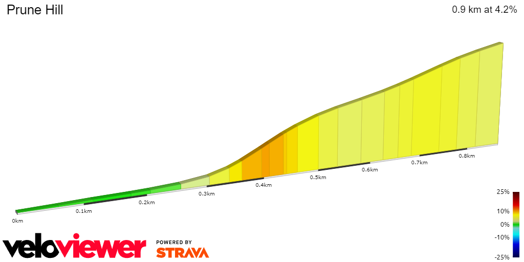 2D Elevation profile image for Prune Hill