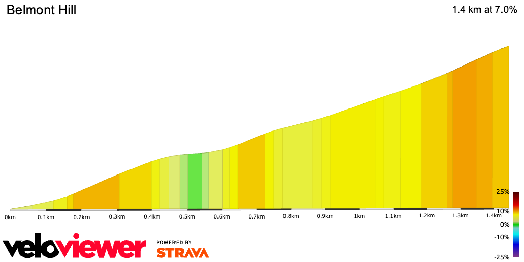 2D Elevation profile image for Belmont Hill
