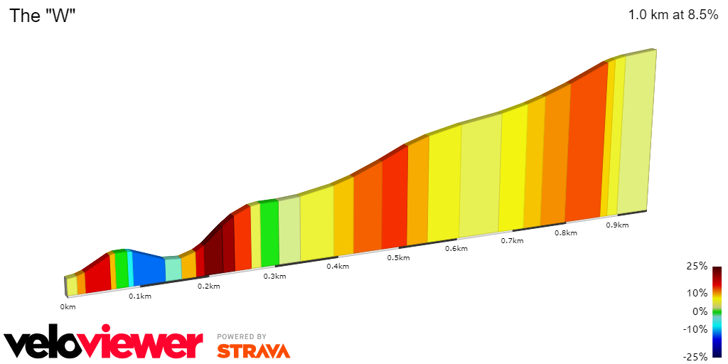 2D Elevation profile image for The W