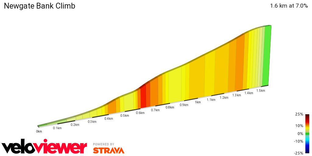 2D Elevation profile image for Newgate Bank Climb