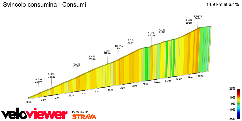2D Elevation profile image for Svincolo consumina - Consumi