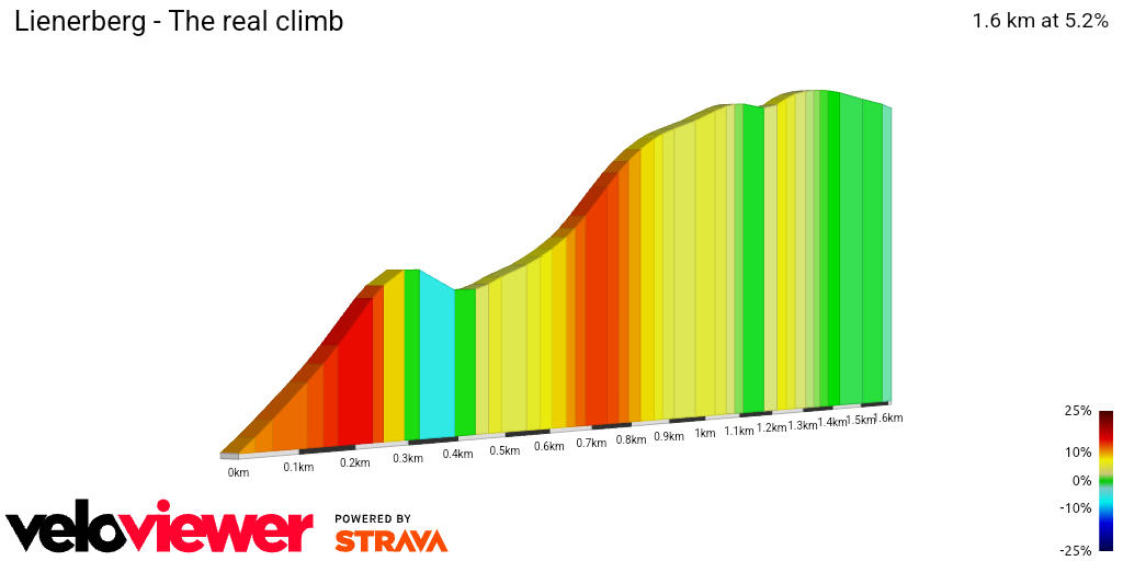 2D Elevation profile image for Lienerberg - The real climb