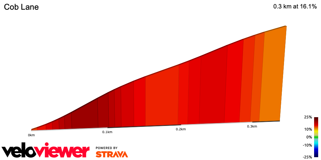 2D Elevation profile image for Cob Lane