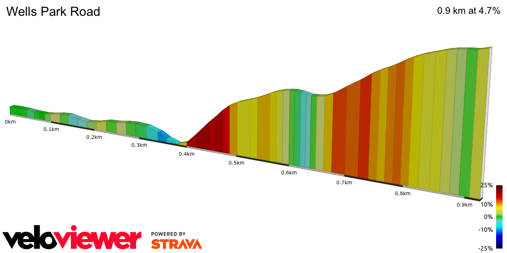 2D Elevation profile image for Wells Park Road