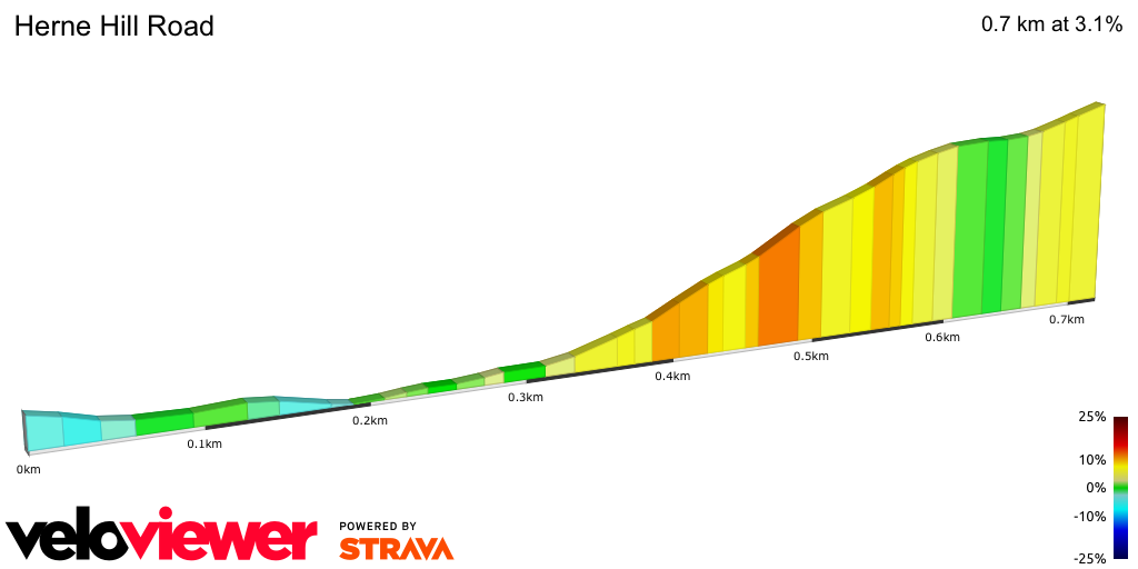 2D Elevation profile image for Herne Hill Road