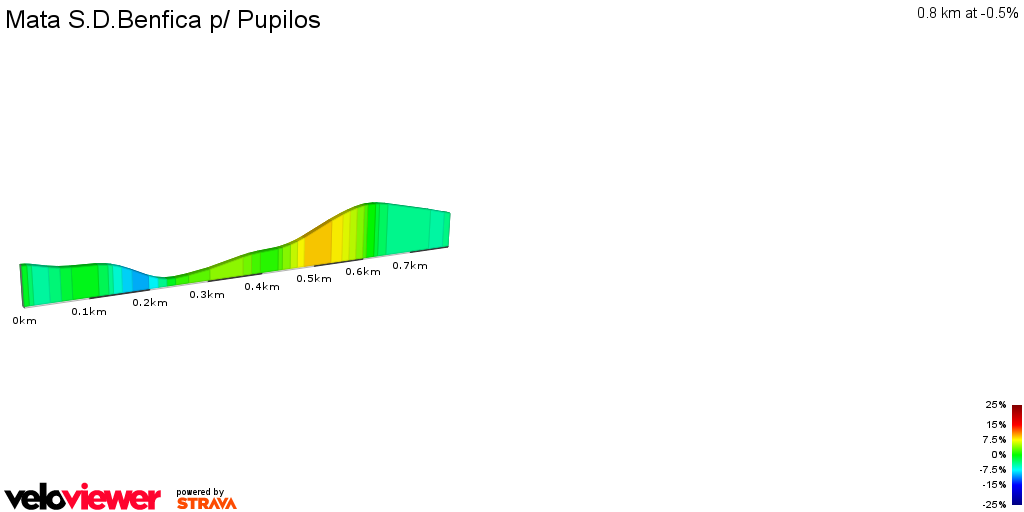 2D Elevation profile image for Mata S.D.Benfica p/ Pupilos