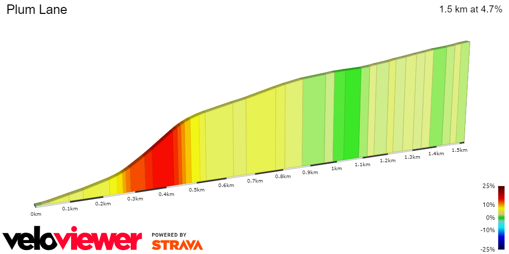 2D Elevation profile image for Plum Lane