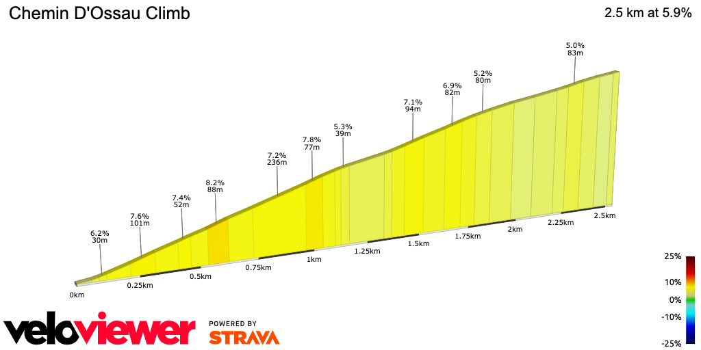 2D Elevation profile image for Chemin D'Ossau Climb