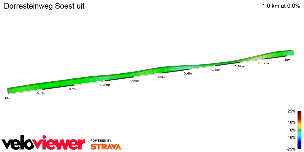2D Elevation profile image for Dorresteinweg Soest uit